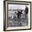 Hound Trailing, One of Cumbrias Oldest and Most Popular Sports, Keswick, 2nd July 1962-Michael Walters-Framed Photographic Print