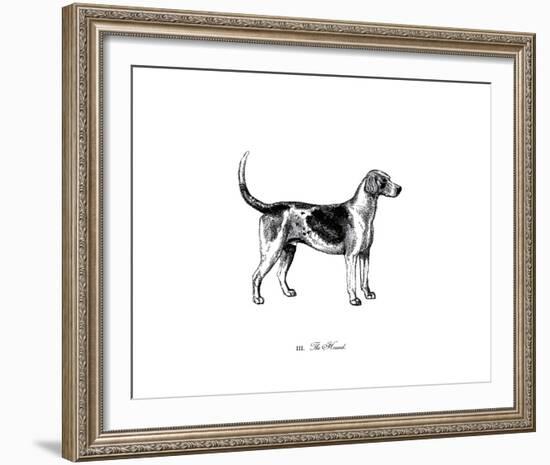 Hound-The Chelsea Collection-Framed Giclee Print