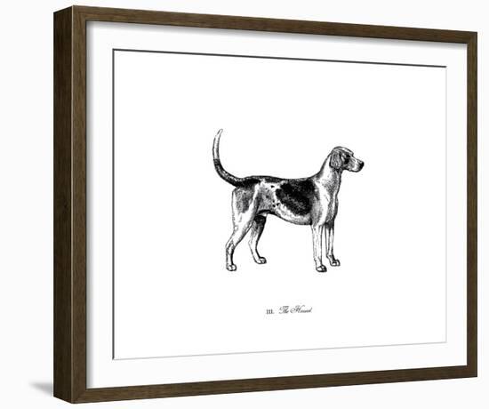 Hound-The Chelsea Collection-Framed Giclee Print