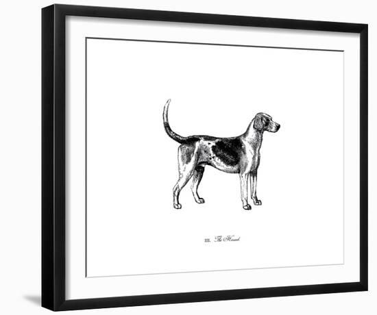 Hound-The Chelsea Collection-Framed Giclee Print