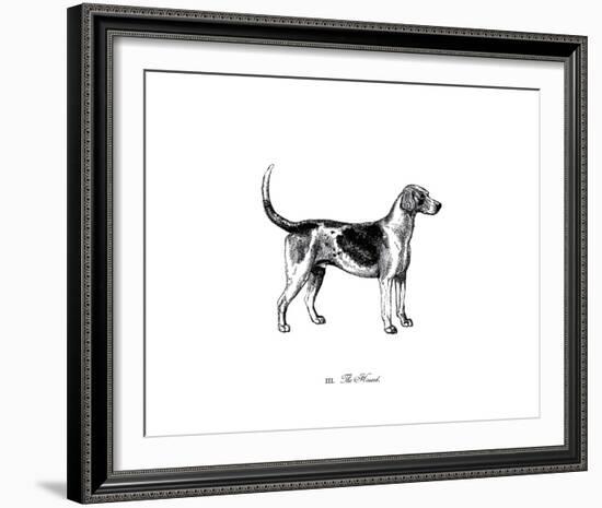 Hound-The Chelsea Collection-Framed Giclee Print