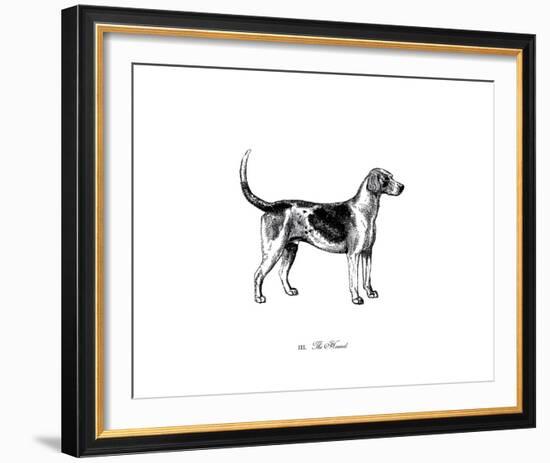 Hound-The Chelsea Collection-Framed Giclee Print