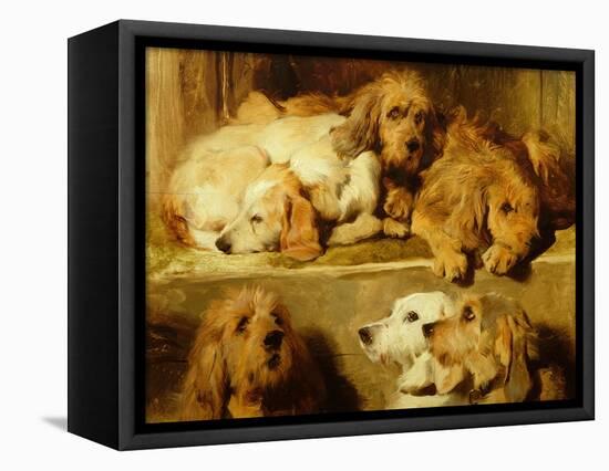 Hounds in a Kennel-Edwin Henry Landseer-Framed Premier Image Canvas