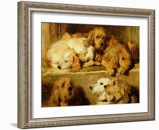 Hounds in a Kennel-Edwin Henry Landseer-Framed Premium Giclee Print