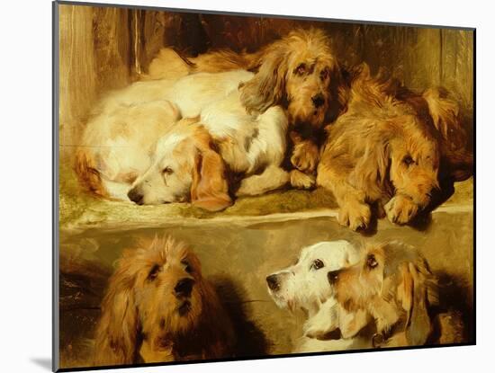 Hounds in a Kennel-Edwin Henry Landseer-Mounted Giclee Print