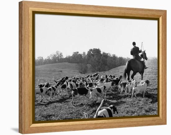 Hounds on a Fox Hunt-Peter Stackpole-Framed Premier Image Canvas