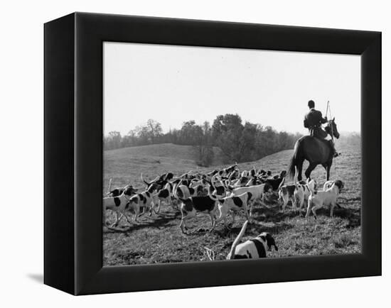 Hounds on a Fox Hunt-Peter Stackpole-Framed Premier Image Canvas