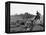 Hounds on a Fox Hunt-Peter Stackpole-Framed Premier Image Canvas