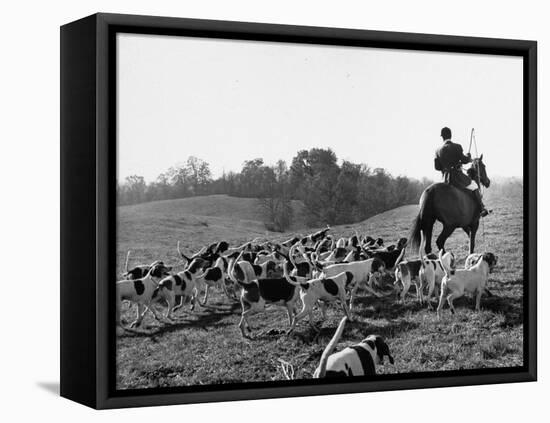Hounds on a Fox Hunt-Peter Stackpole-Framed Premier Image Canvas