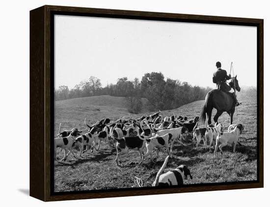 Hounds on a Fox Hunt-Peter Stackpole-Framed Premier Image Canvas