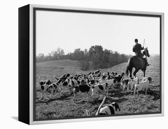 Hounds on a Fox Hunt-Peter Stackpole-Framed Premier Image Canvas