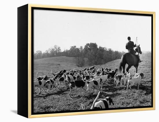 Hounds on a Fox Hunt-Peter Stackpole-Framed Premier Image Canvas