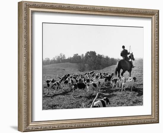 Hounds on a Fox Hunt-Peter Stackpole-Framed Photographic Print