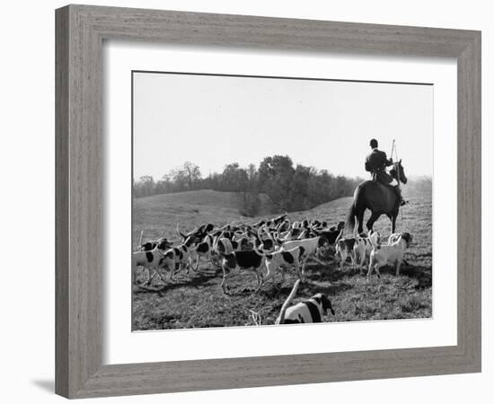 Hounds on a Fox Hunt-Peter Stackpole-Framed Photographic Print