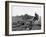 Hounds on a Fox Hunt-Peter Stackpole-Framed Photographic Print