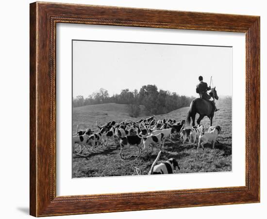 Hounds on a Fox Hunt-Peter Stackpole-Framed Photographic Print