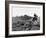 Hounds on a Fox Hunt-Peter Stackpole-Framed Photographic Print