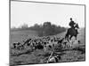 Hounds on a Fox Hunt-Peter Stackpole-Mounted Photographic Print