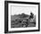 Hounds on a Fox Hunt-Peter Stackpole-Framed Photographic Print