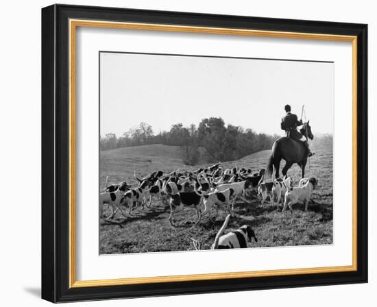 Hounds on a Fox Hunt-Peter Stackpole-Framed Photographic Print