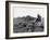 Hounds on a Fox Hunt-Peter Stackpole-Framed Photographic Print