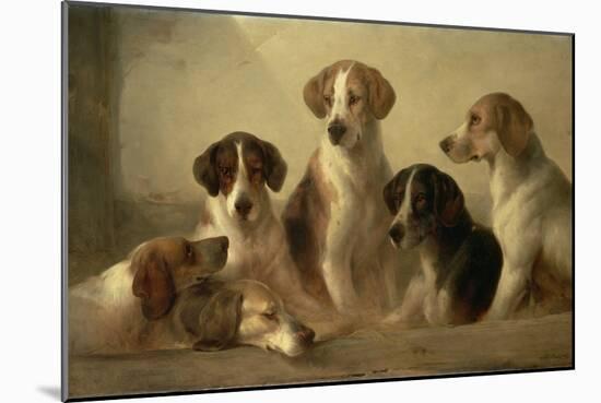 Hounds-Edward Robert Smythe-Mounted Giclee Print