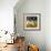 House 4-Robbin Rawlings-Framed Premium Giclee Print displayed on a wall