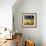 House 4-Robbin Rawlings-Framed Premium Giclee Print displayed on a wall