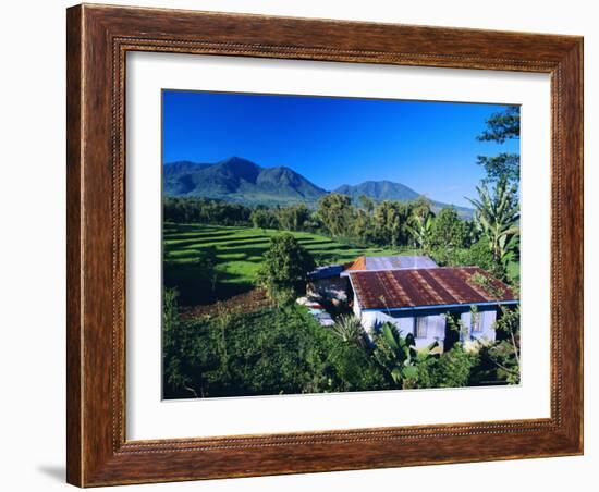 House Amidst the Rice Terraces in the Rice and Coffee Growing Heart of Western Flores, Indonesia-Robert Francis-Framed Photographic Print