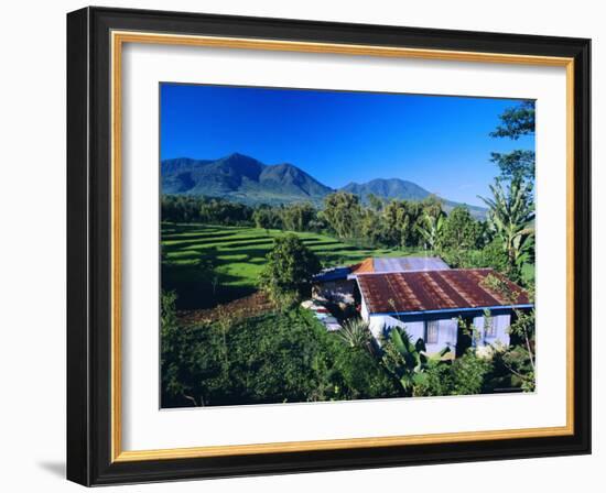 House Amidst the Rice Terraces in the Rice and Coffee Growing Heart of Western Flores, Indonesia-Robert Francis-Framed Photographic Print