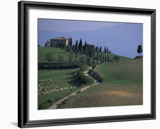 House and Cypress Trees, Val d'Orcia, Siena Provice, Tuscany, Italy-Bruno Morandi-Framed Photographic Print