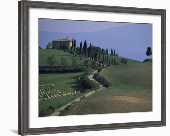 House and Cypress Trees, Val d'Orcia, Siena Provice, Tuscany, Italy-Bruno Morandi-Framed Photographic Print