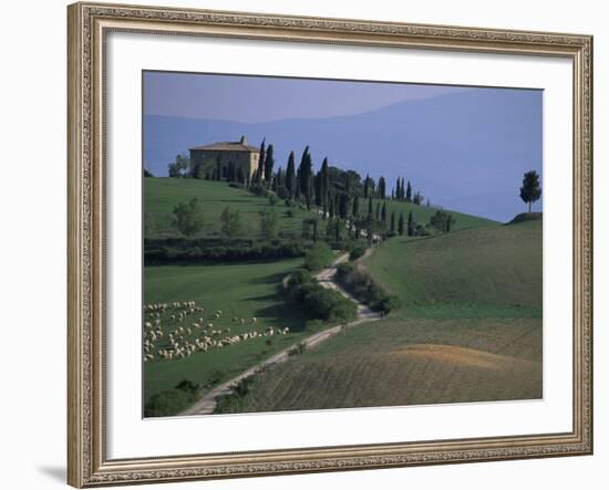 House and Cypress Trees, Val d'Orcia, Siena Provice, Tuscany, Italy-Bruno Morandi-Framed Photographic Print