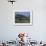 House and Cypress Trees, Val d'Orcia, Siena Provice, Tuscany, Italy-Bruno Morandi-Framed Photographic Print displayed on a wall