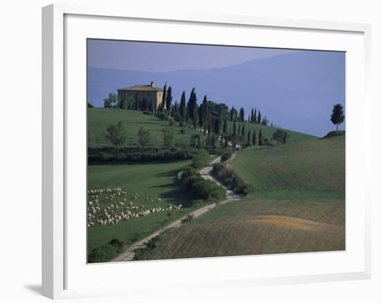 House and Cypress Trees, Val d'Orcia, Siena Provice, Tuscany, Italy-Bruno Morandi-Framed Photographic Print