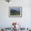 House and Cypress Trees, Val d'Orcia, Siena Provice, Tuscany, Italy-Bruno Morandi-Framed Photographic Print displayed on a wall