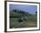 House and Cypress Trees, Val d'Orcia, Siena Provice, Tuscany, Italy-Bruno Morandi-Framed Photographic Print