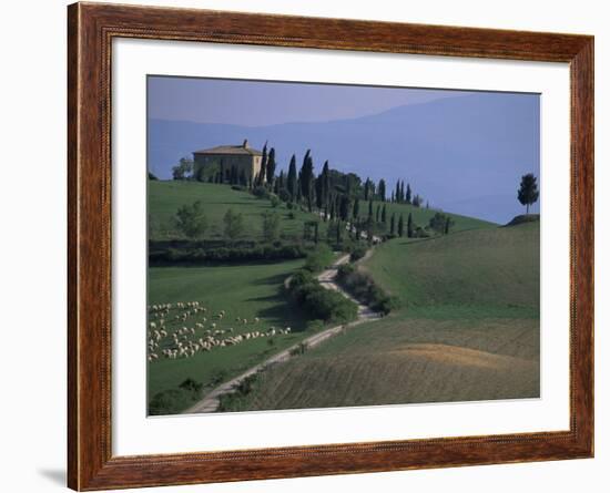 House and Cypress Trees, Val d'Orcia, Siena Provice, Tuscany, Italy-Bruno Morandi-Framed Photographic Print