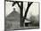 House and Tree, c. 1940-Brett Weston-Mounted Photographic Print