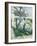 House and Tree-Francis G. Mayer-Framed Giclee Print