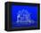 House Blueprint-Mike_Kiev-Framed Stretched Canvas