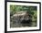 House Boat on the Backwaters, Near Alappuzha (Alleppey), Kerala, India, Asia-Stuart Black-Framed Photographic Print