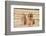 House Cat and Golden Retriever-DLILLC-Framed Photographic Print