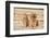 House Cat and Golden Retriever-DLILLC-Framed Photographic Print