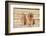 House Cat and Golden Retriever-DLILLC-Framed Photographic Print