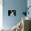 House Cat-Lori Hutchison-Photographic Print displayed on a wall