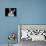 House Cat-Lori Hutchison-Photographic Print displayed on a wall