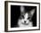 House Cat-Lori Hutchison-Framed Photographic Print