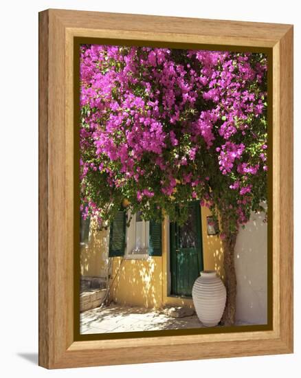 House Covered in Bougainvillea, Paxos, the Ionian Islands, Greek Islands, Greece, Europe-Neil Farrin-Framed Premier Image Canvas