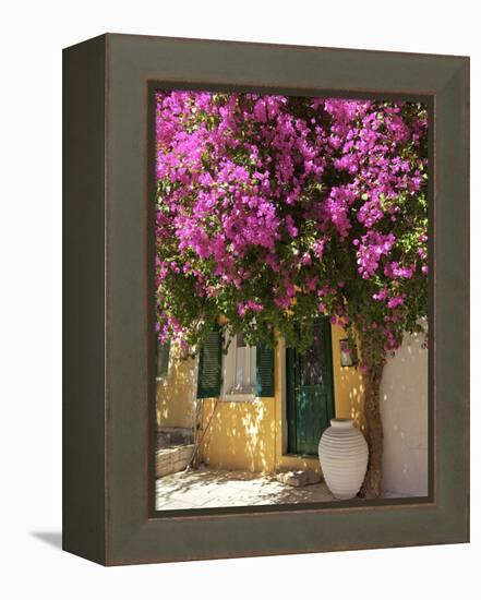 House Covered in Bougainvillea, Paxos, the Ionian Islands, Greek Islands, Greece, Europe-Neil Farrin-Framed Premier Image Canvas